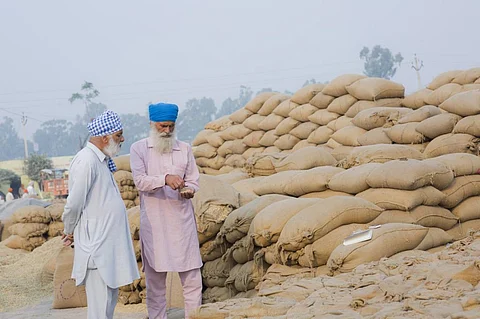 The absence of MSP legal guarantee is a tool to exploit the farmers. Photo: iStock