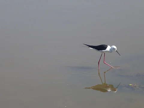 Water in age of climate change