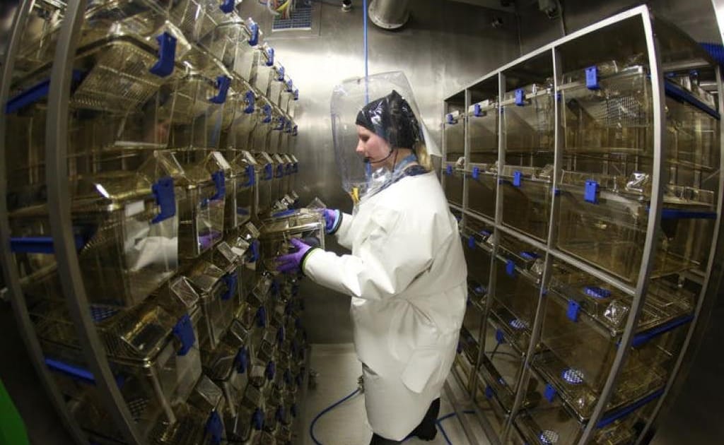At least 59 labs handle the deadliest pathogens; only a quarter score ...