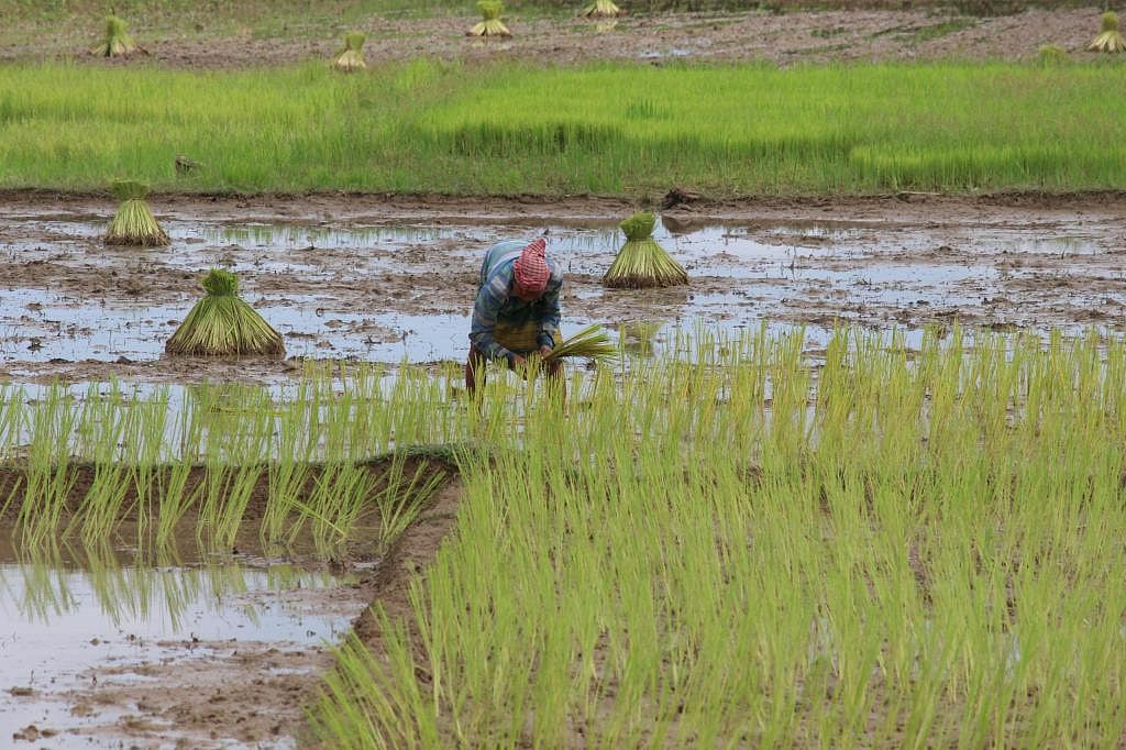 Climate change is real: Severe drought hits Assam’s wet regions