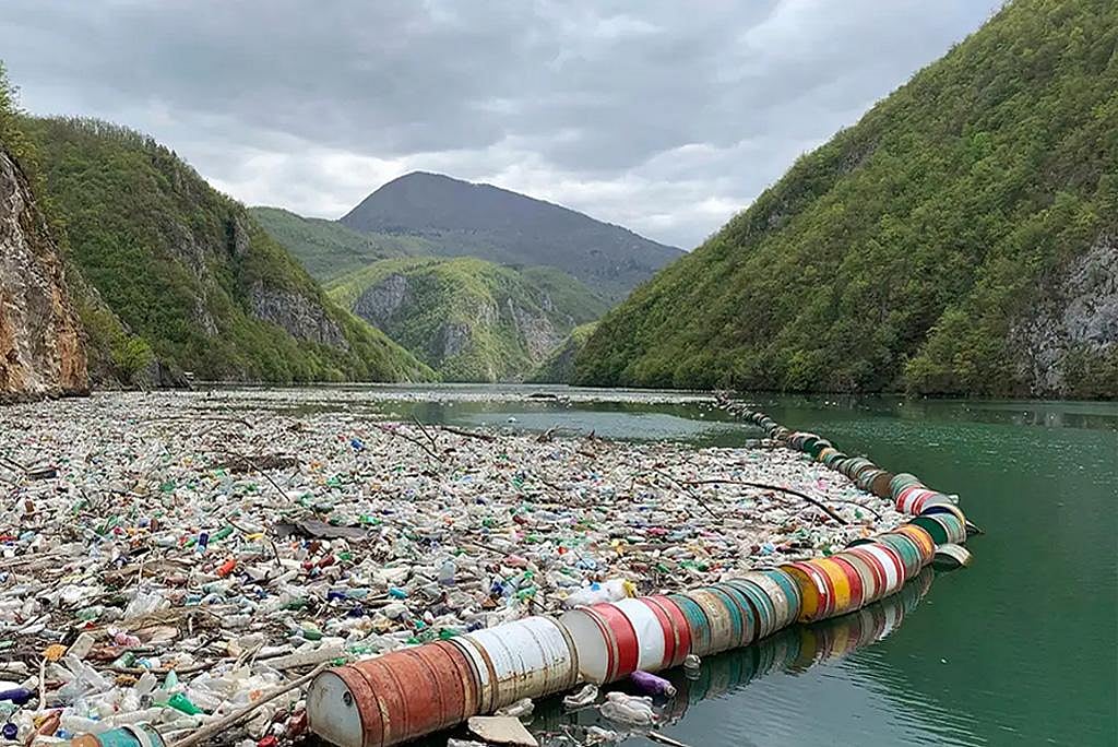 महासागरों में प्रवेश करने से पहले बरसों तक नदियों में रहता है ...