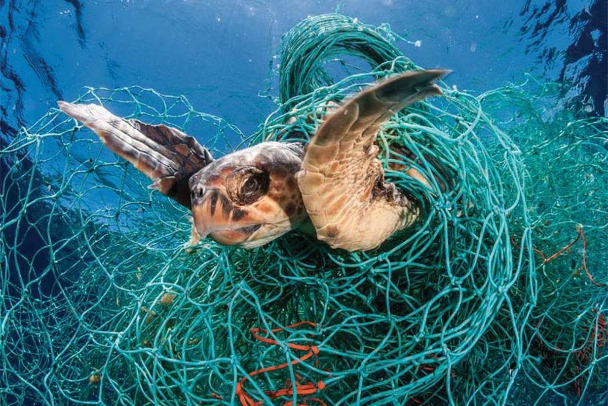 Littered Sea This World Oceans Day let’s talk about marine litter