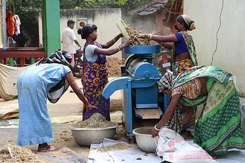 In photos: Millet laddoos help fight malnutrition in rural Odisha