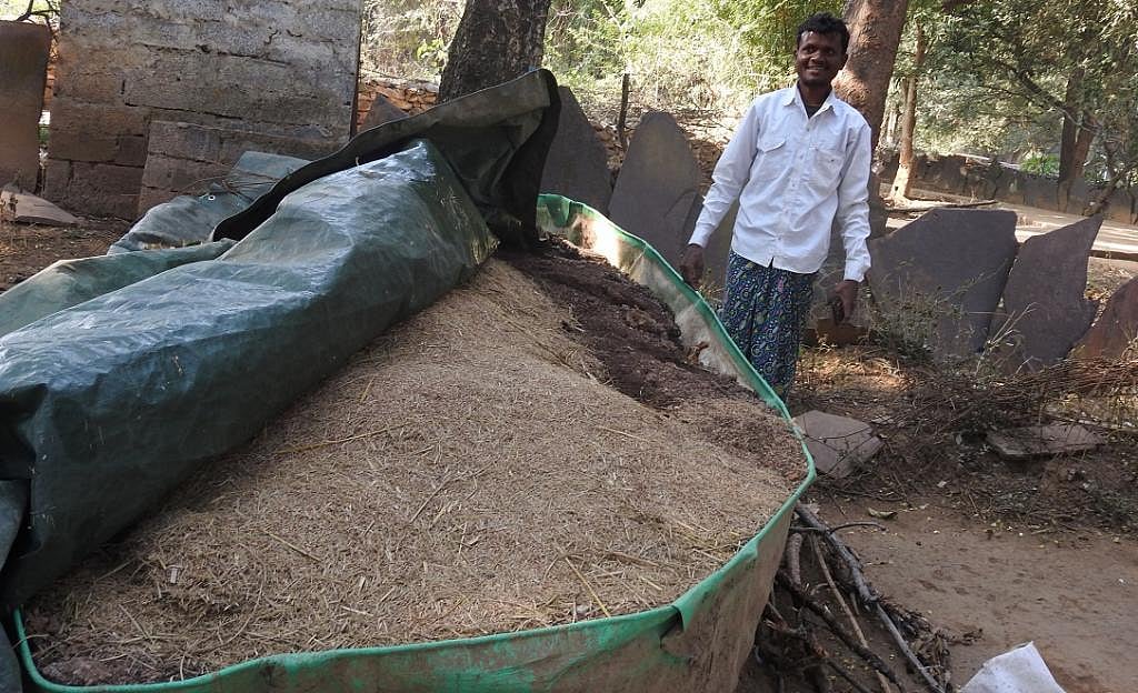 Chitapur: A village that counts its GDP in tamarind trees