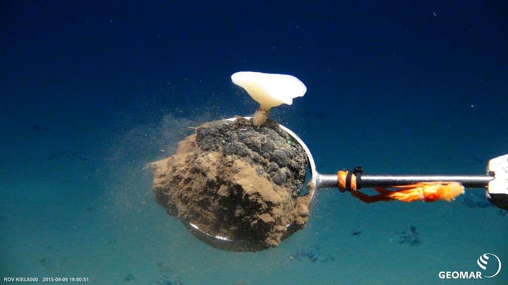 Plans for deep seabed mining pit renewable energy demand against ocean ...