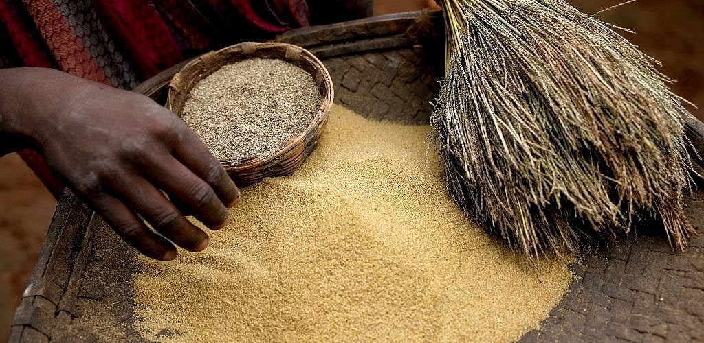 Millets in PDS a game changer for combating malnutrition, climate change