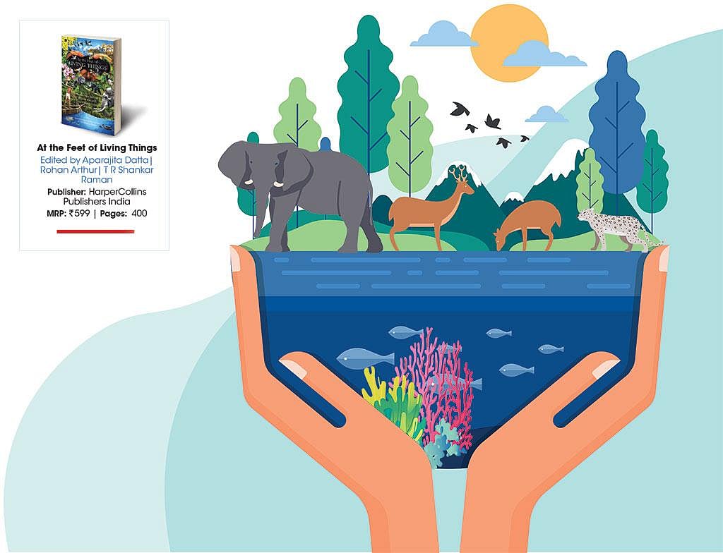 Beyond protected areas: This new book explores how India's conservation ...