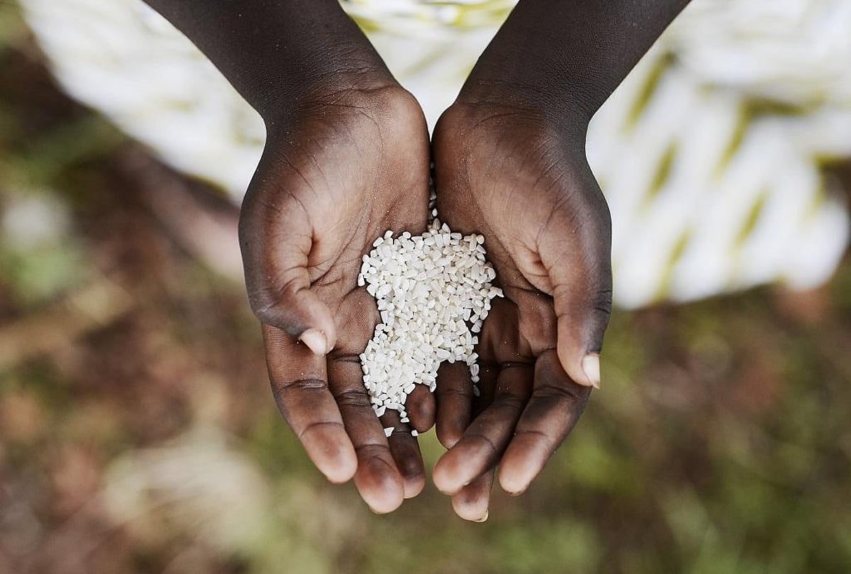 Shell Spring Hunger Types Quarter of a billion people are facing acute hunger: Report