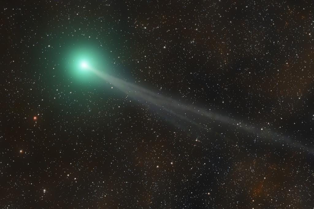 Are we about to see a rare green comet light up the sky? An expert on what  to expect from Nishimura
