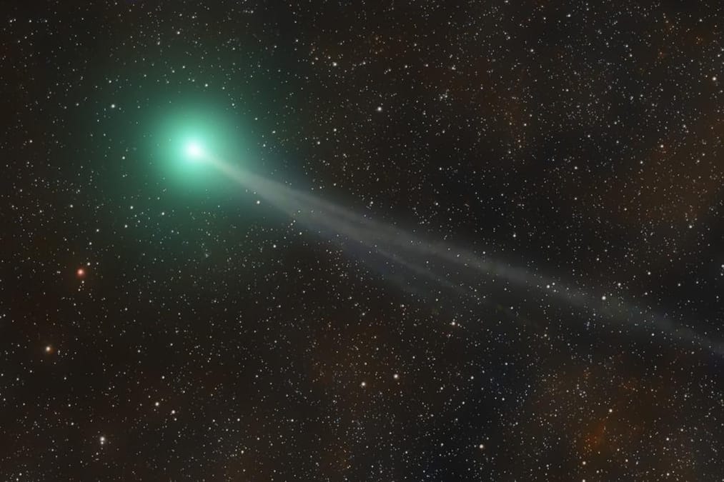 Are we about to see a rare green comet light up the sky? An expert on what to expect from Nishimura