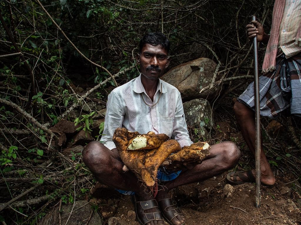 What do tribal groups like the Soligas and Yeravas eat?