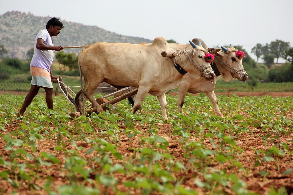 Is legal assurance of MSP for farmers viable? What are its implications?