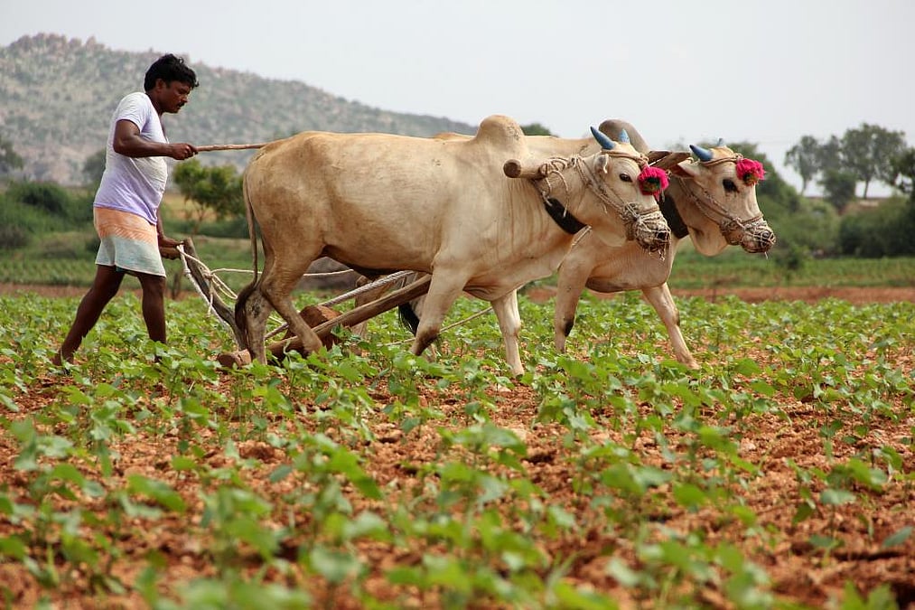 Is legal assurance of MSP for farmers viable? What are its implications?