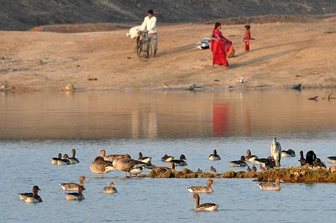 Bihar: Human-made wetlands Nagi & Nakti recognised under Ramsar Convention
