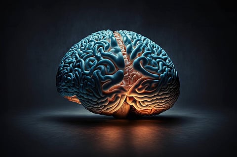 In the past decade, neuroscience has enabled us to identify the parts of the brain that get activated when you watch political adverts.