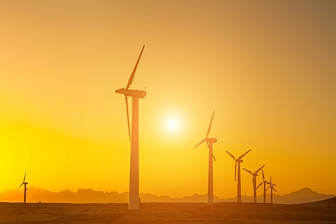 Green signal: Significant foreign investment in Africa’s clean energy sector in 2023 encouraging, says UNCTAD