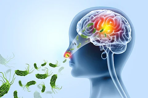 3D illustration of deadly brain-eating amoeba infection
