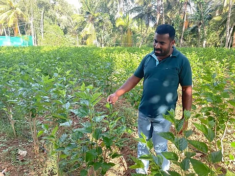 In the last four years, Mallesha DP from Devipura village has been trying to experiment with sericulture, aquaculture and other agricultural practices other than traditional farming to increase his earnings. 