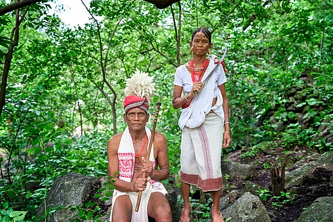 This ‘new’ human right offers hope to climate activists