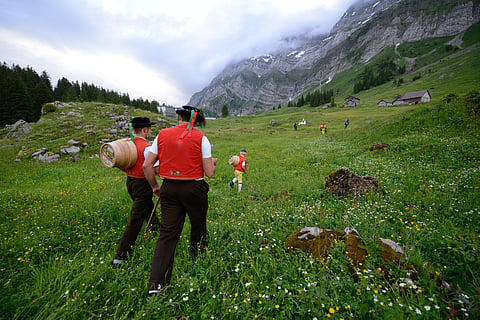 Switzerland’s vote against stronger biodiversity conservation plan highlights rural-urban divide in ecological referendums