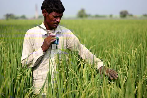 Govt brings all agri programmes under two umbrella schemes; total outlay of Rs 1 lakh crore