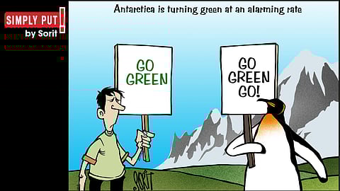 Simply Put: Antarctic greening