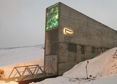 Svalbard Global Seed Vault evokes epic imagery and controversy because of the symbolic value of seeds
