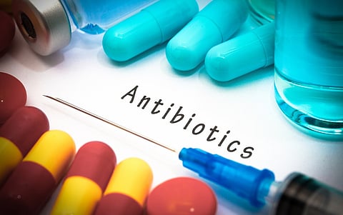 WAAW 2024: We finally have a political declaration on AMR; it is now time to advance its implementation