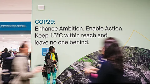 CSE-DTE at COP29: IPCC to estimate carbon removal technologies in special report by 2027