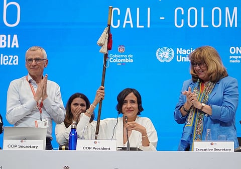 DTE Coverage: How CBD COP16 unfolded