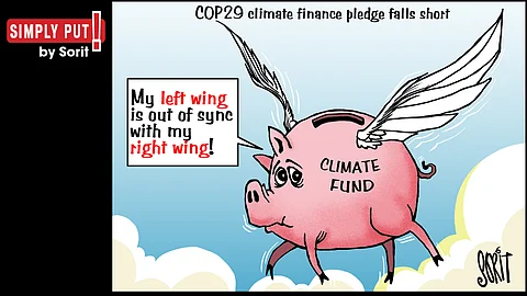 Simply Put: Out of sync at COP29