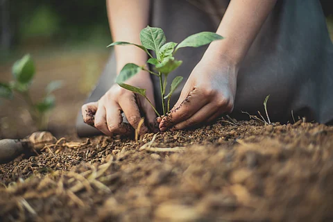 World Soil Day: It is time to shift focus on soil health as it sustains ecosystems, food security and climate resilience
