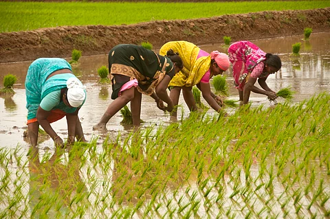 Telangana: Tenant farmers remind Congress of its poll promises; demand recognition and government support 
