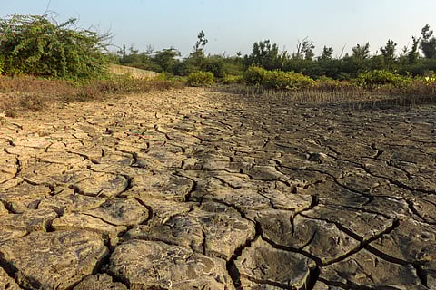 The transition of humid landscapes into drylands has dire implications for agriculture, ecosystems and the livelihoods of those dependent on these regions