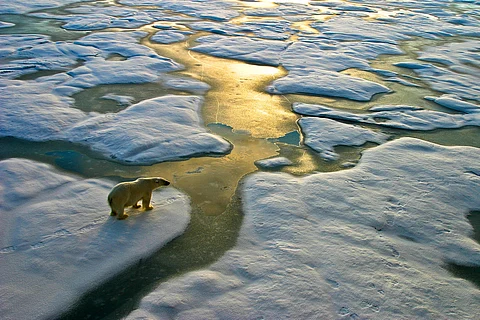 Arctic has changed dramatically in just a couple of decades — 2024 report card shows worrying trends in snow, ice, wildfire and more
