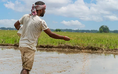 Standing committee points out high financial pressure on agricultural households