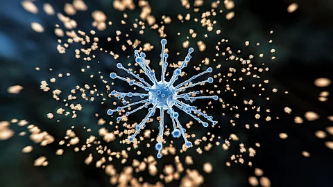 Recap 2024: How pathogens emerged in new territories and forms this year