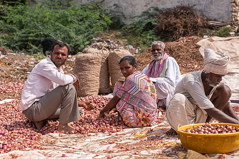Onion farmers facing heavy losses as prices crash; farmers demand removal of export duty ahead of Goyal’s visit