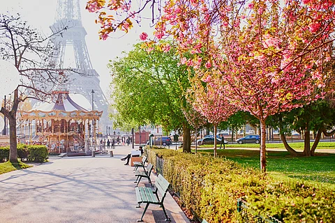 Parking space turns 'oasis square': What India can learn from Paris's ambitious urban redesign plan