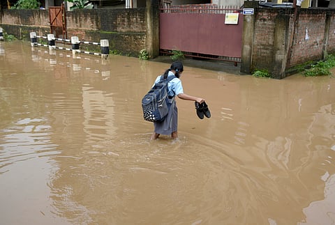 94% Indian youth feels impacted by climate change: Survey