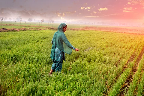 Rupee slide against dollar may compound India’s fertiliser troubles