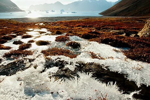 Study identifies 20 regions in Arctic most vulnerable to climate change, permafrost common denominator