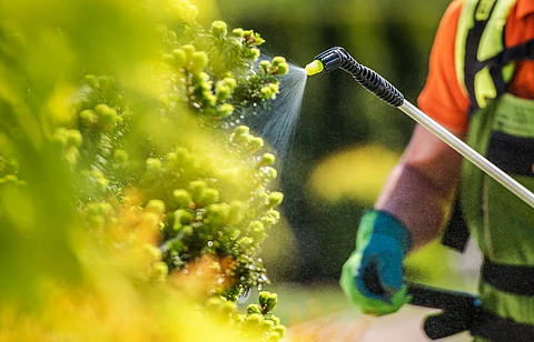 High fertiliser use killing bees and pollinators: Two-year long research finds 