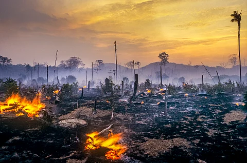 Almost a quarter (23 per cent) of Brazil’s territory — an estimated 199.1 million hectares — has burned at least once between 1985 and 2023