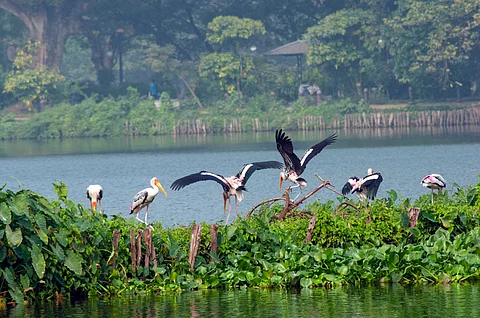 There’s a pressing need for a dedicated and broad-based national wetlands inventory programme 
