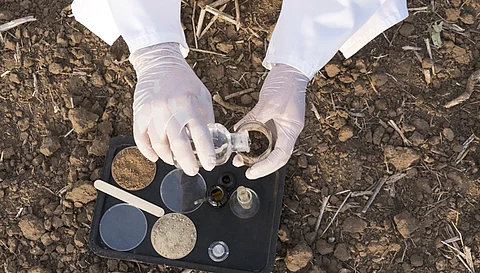 Budget 2025-26: Major boost to National Mission on Natural Farming