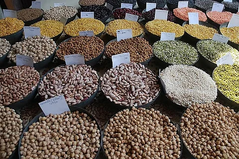 Pigeon pea farmers in dilemma as Centre extends duty-free import period for arhar dal by another year