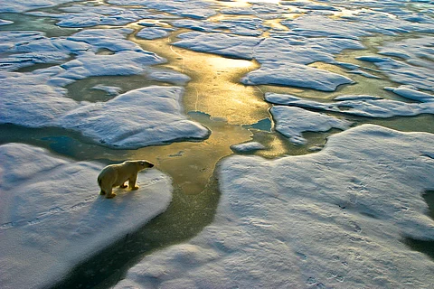 Record January heat suggests La Niña may be losing its ability to keep global warming in check
