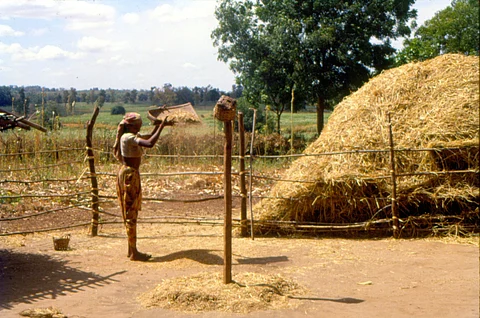 Gujarat, a major Rabi crop-producing state, also faced significant rainfall deficits