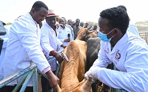 Protests in Kenya against nationwide livestock vaccination programme